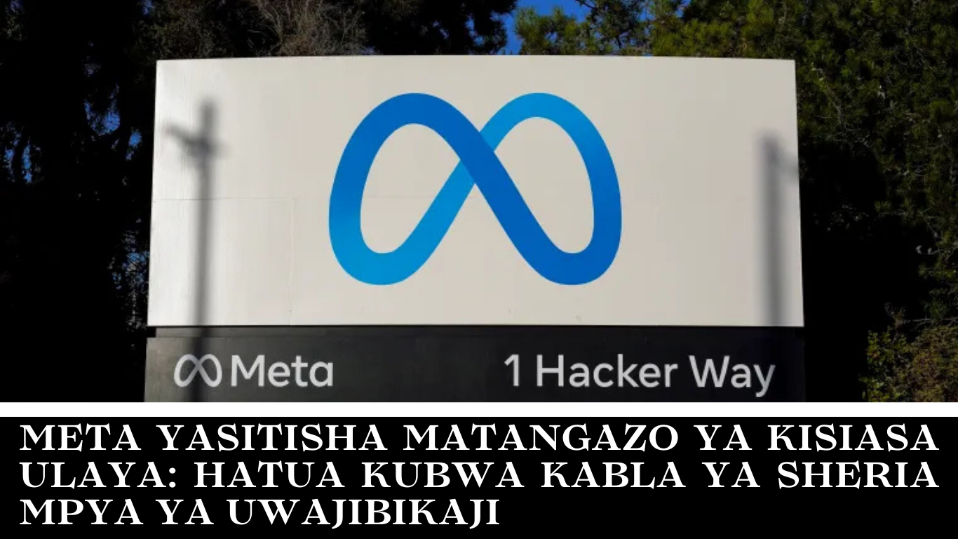 Picha ya meta
